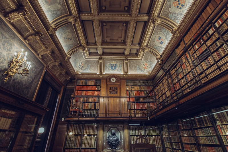 bibliotheque-ILONSE-min_library-863148